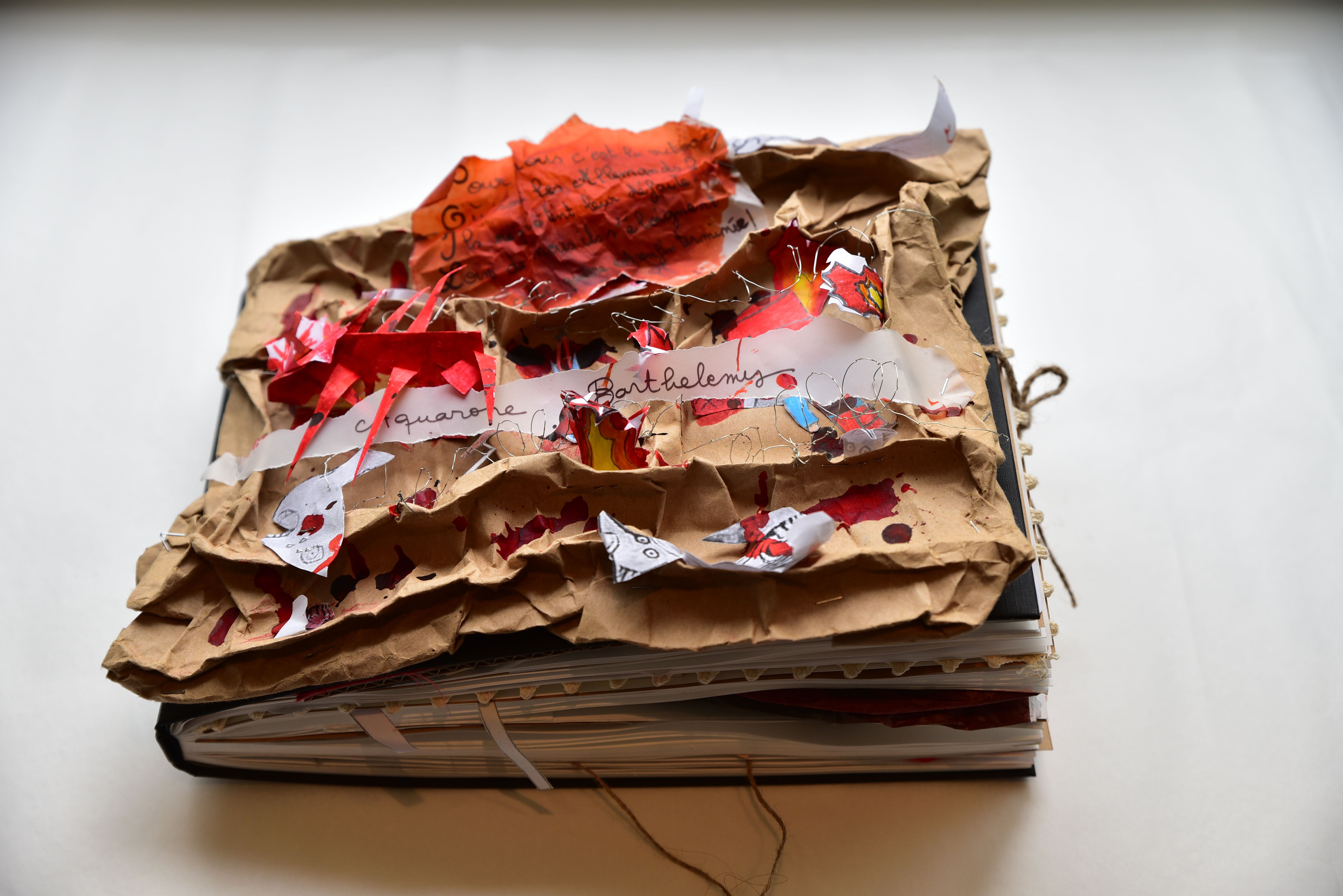 Extrait du carnet lauréat du 1er prix national de la 10ème édition (2015-2016) de l’école Nikaïa de Nice (06)